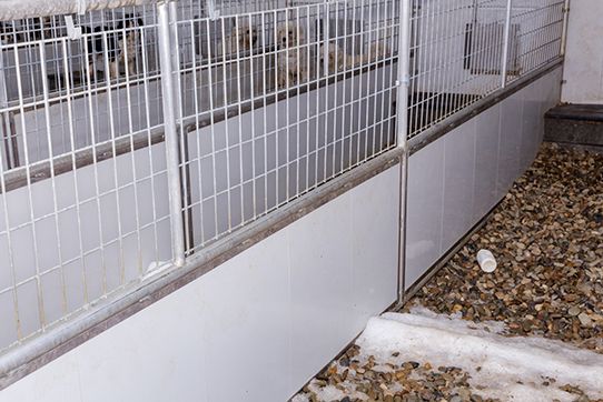 vinyl wall panels for dog kennels